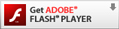 Adobe Flash Playero`
